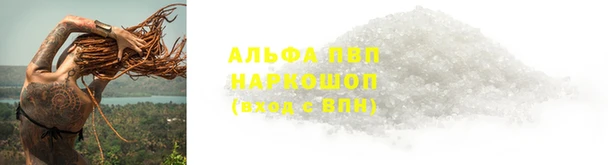 ПСИЛОЦИБИНОВЫЕ ГРИБЫ Елабуга