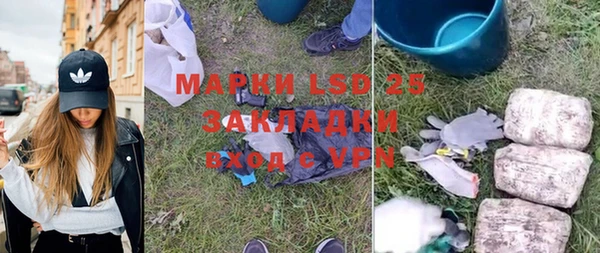 ПСИЛОЦИБИНОВЫЕ ГРИБЫ Елабуга