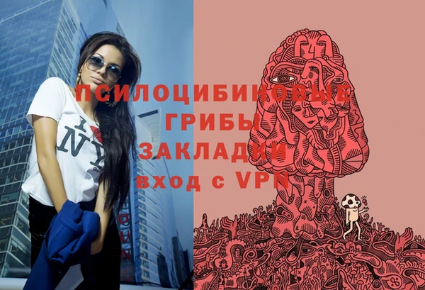 тгк Елизово