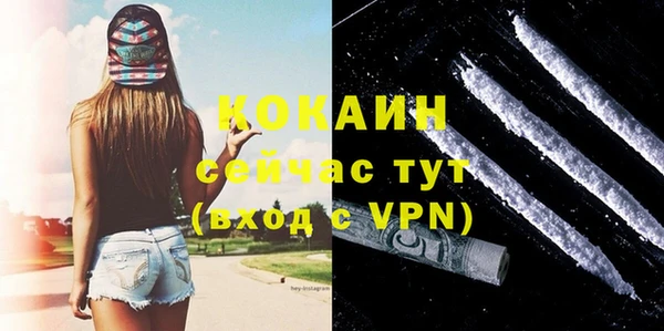 тгк Елизово