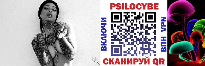Галлюциногенные грибы Psilocybine cubensis  Новозыбков 