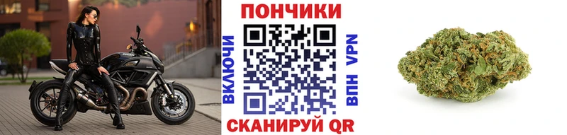 Канабис планчик  Новозыбков 